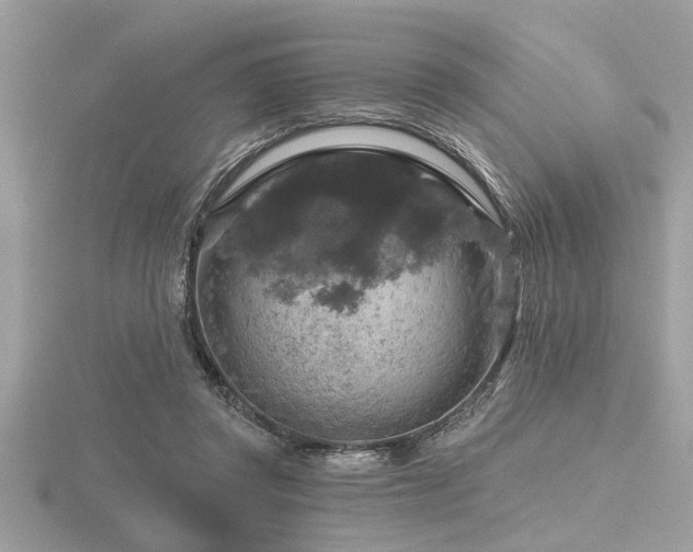 X0000116590357200912101544