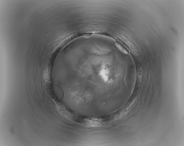 X0000116590359200912101544