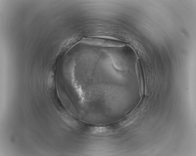 X0000116590361200912101544