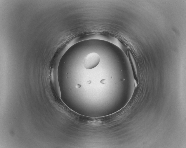 X0000116590362200912101544