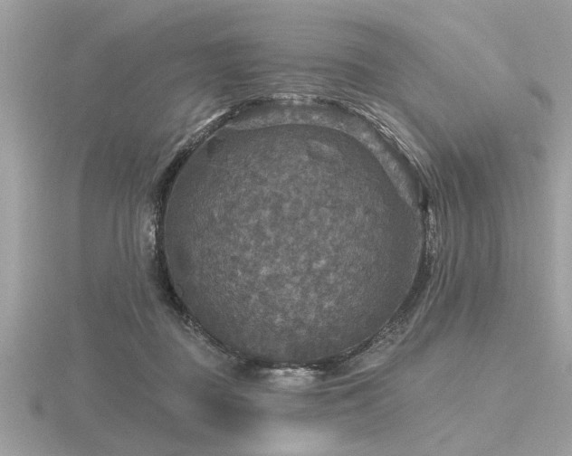 X0000116590363200912101544