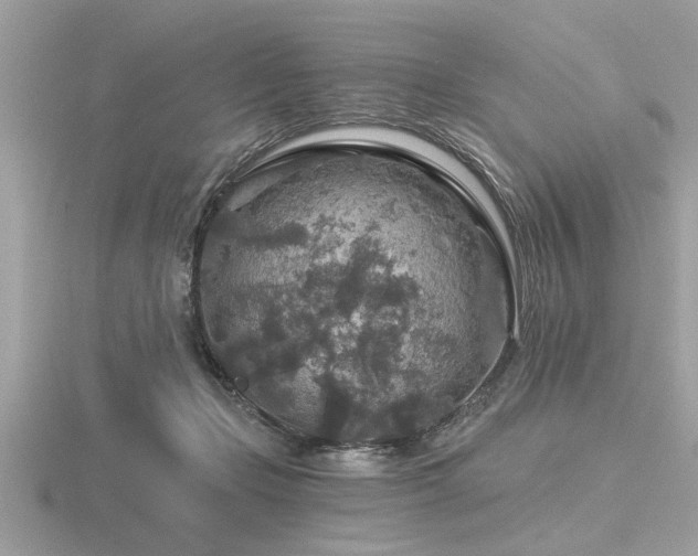 X0000116590365200912101544