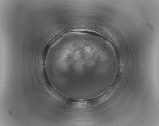 X0000116590366200912101544