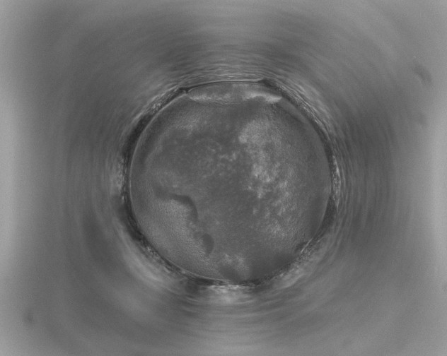 X0000116590367200912101544