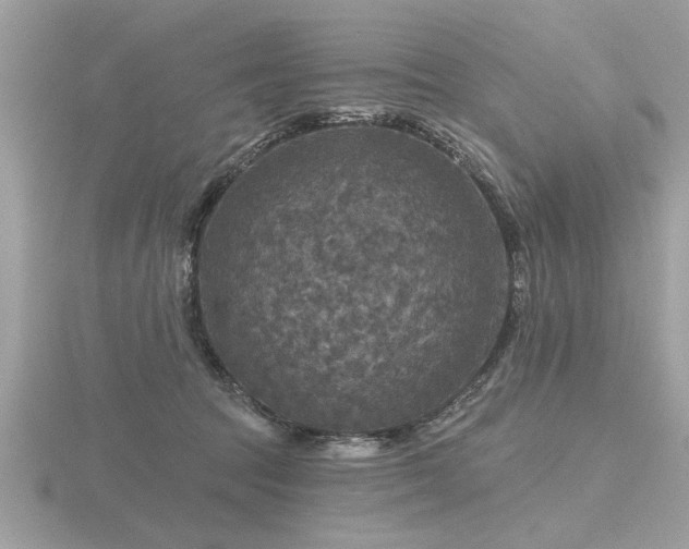 X0000116590369200912101544