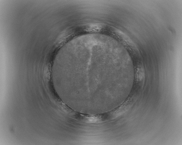 X0000116590370200912101544