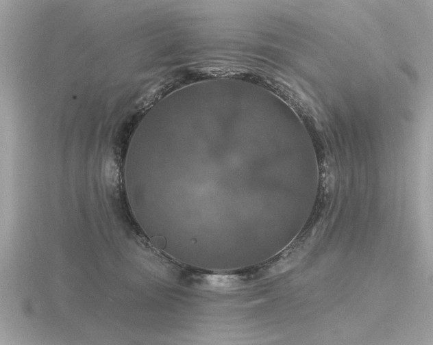 X0000116590371200912101544