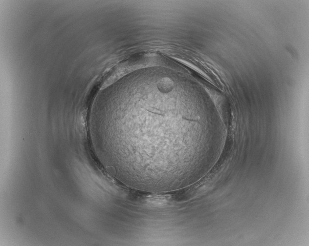 X0000116590373200912101544