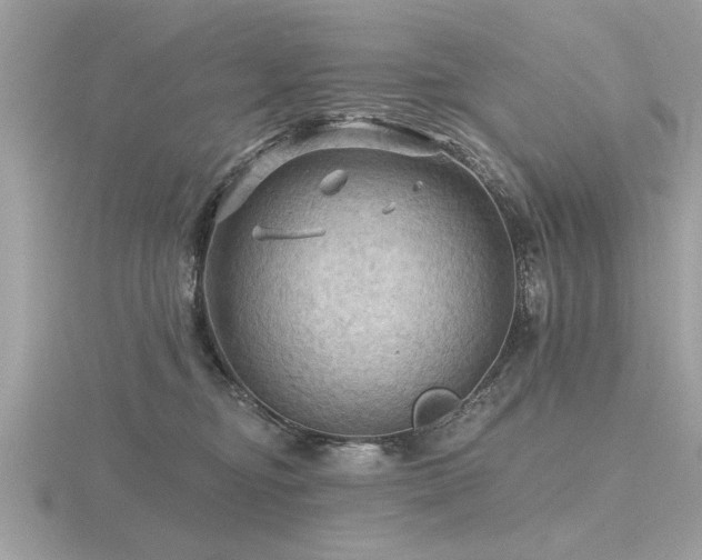 X0000116590374200912101544