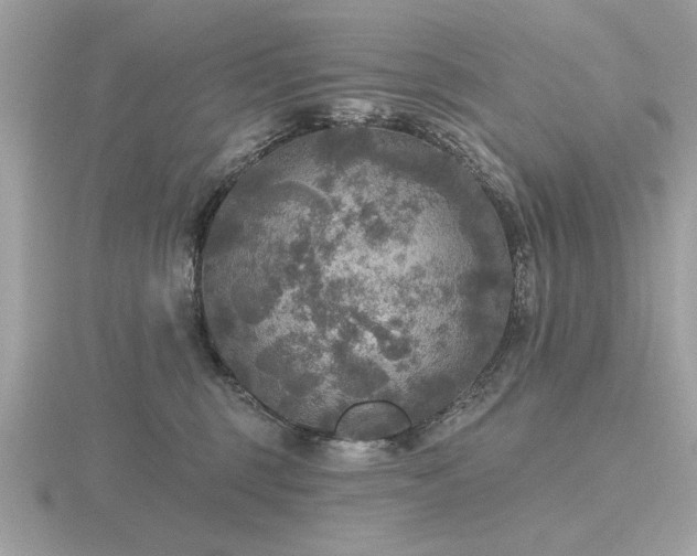 X0000116590375200912101544