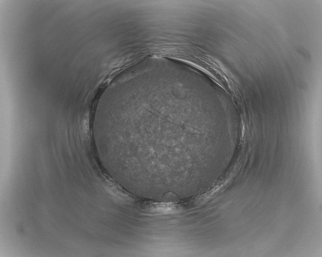 X0000116590377200912101544