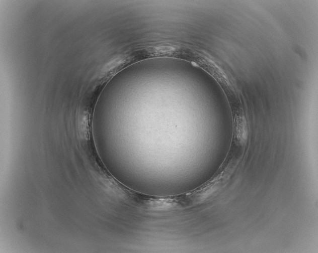 X0000116590378200912101544