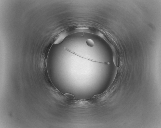 X0000116590379200912101544