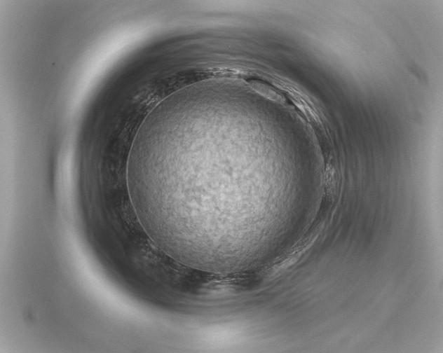 X0000116590381200912101544