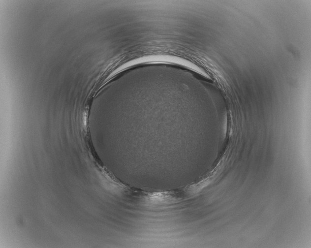 X0000116590382200912101544