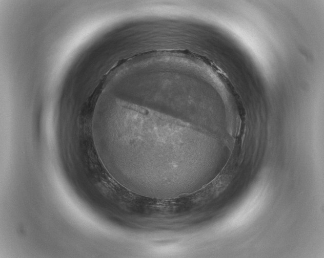 X0000116590383200912101544