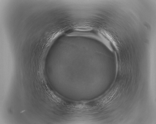 X0000116590385200912101544