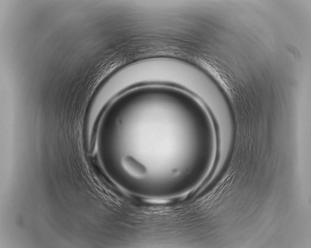 X0000116590386200912101544