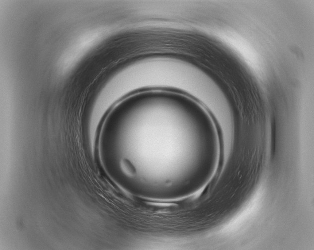 X0000116590387200912101544