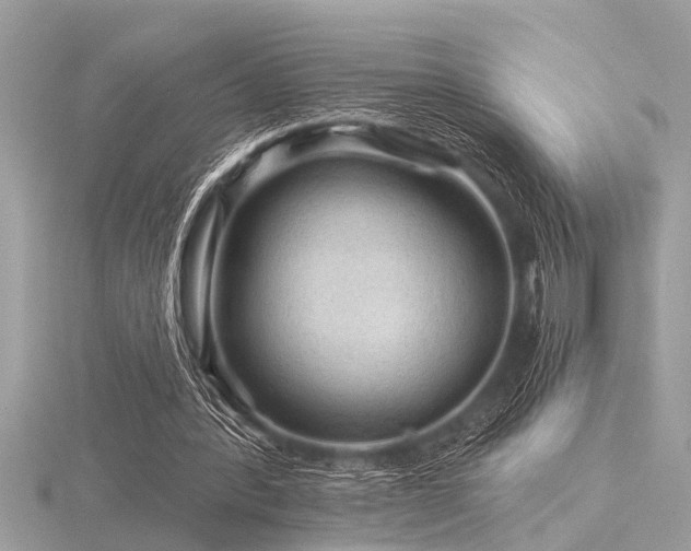 X0000116590388200912101544