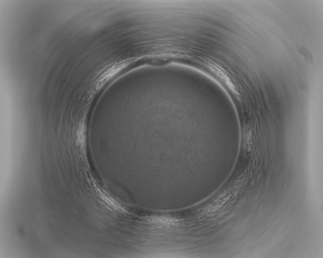 X0000116590389200912101544