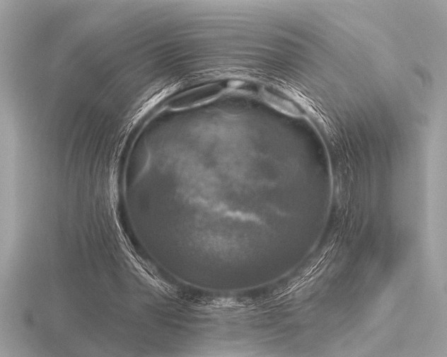 X0000116590390200912101544