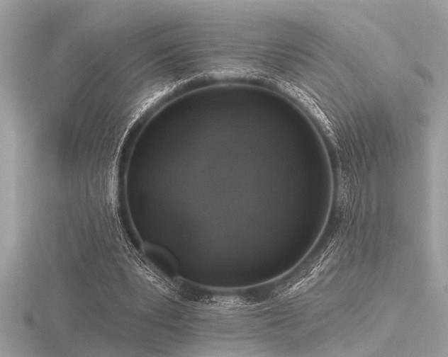 X0000116590391200912101544