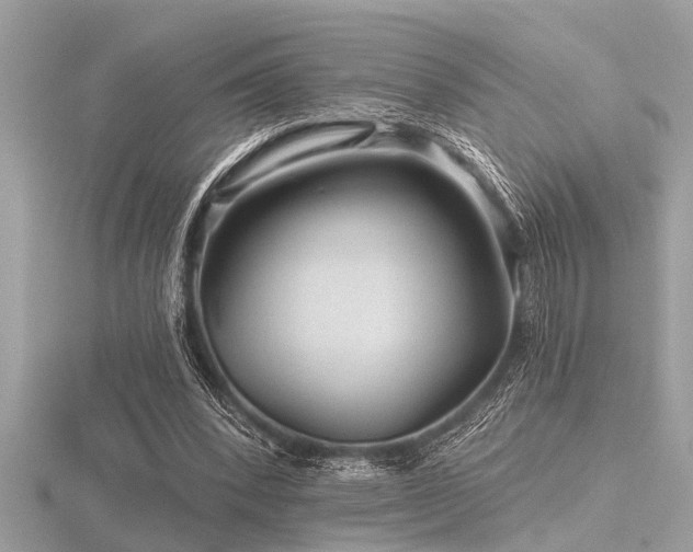 X0000116590392200912101544