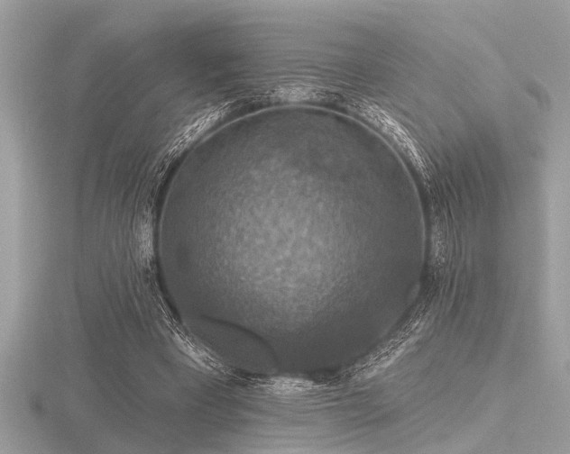 X0000116590393200912101544