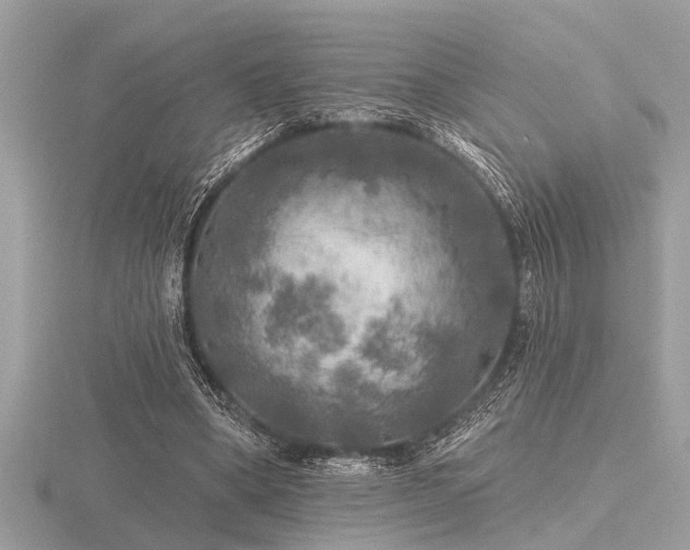 X0000116590394200912101544