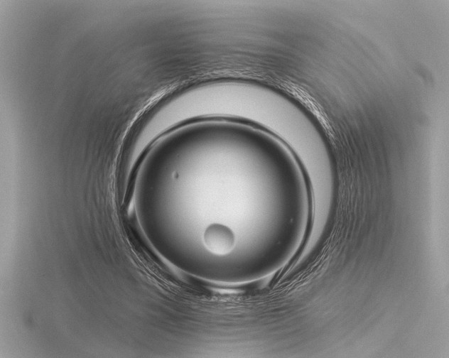 X0000116590395200912101544