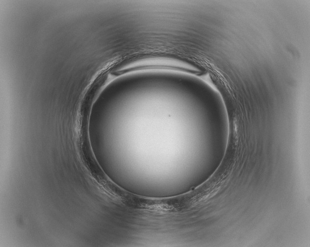 X0000116590396200912101544