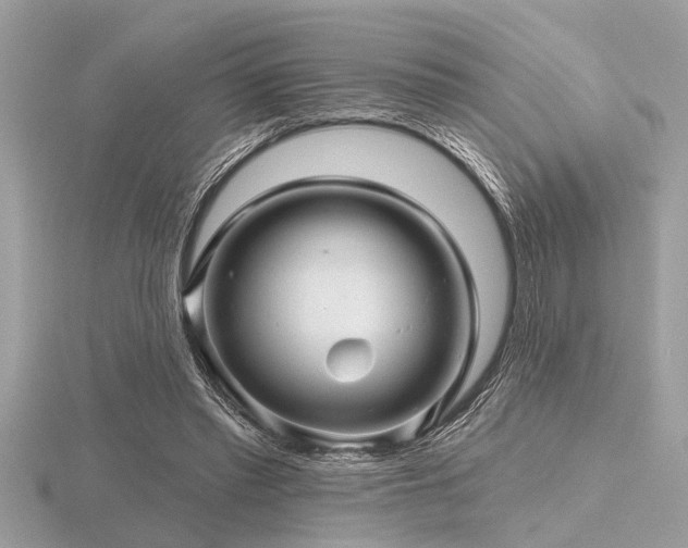 X0000116590397200912101544