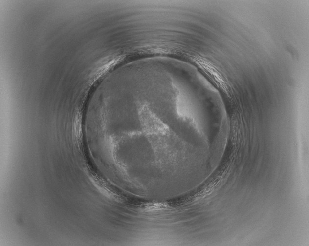 X0000116590398200912101544