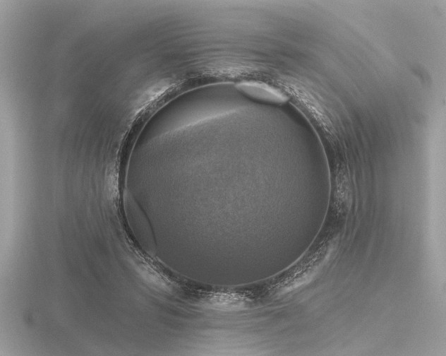 X0000116590399200912101544