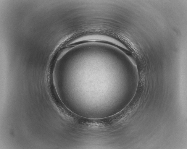 X0000116590400200912101543