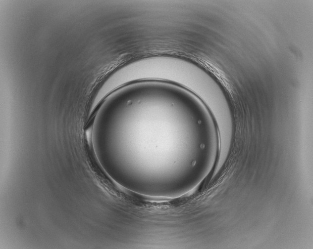 X0000116590401200912101543