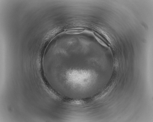 X0000116590402200912101543