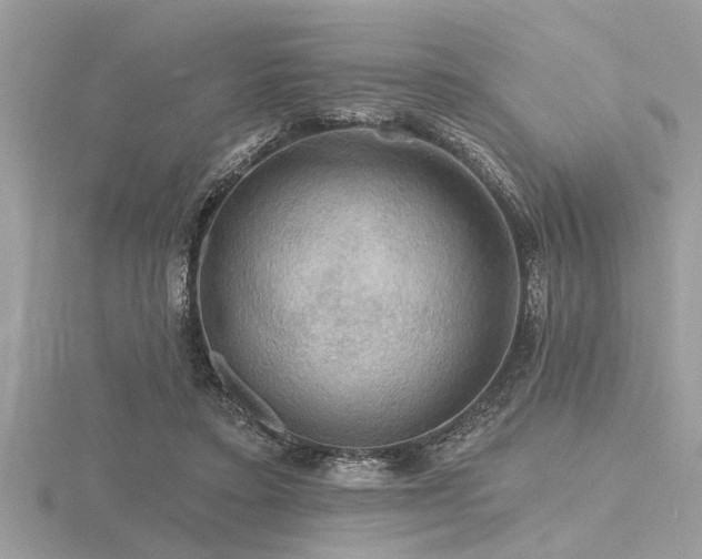 X0000116590403200912101543