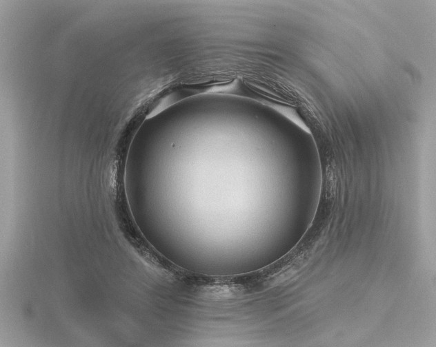 X0000116590404200912101543