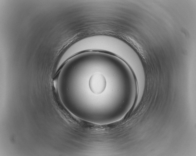 X0000116590405200912101543