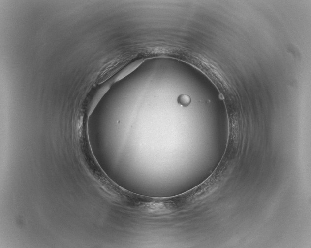 X0000116590406200912101543