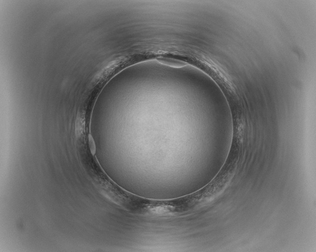 X0000116590407200912101543