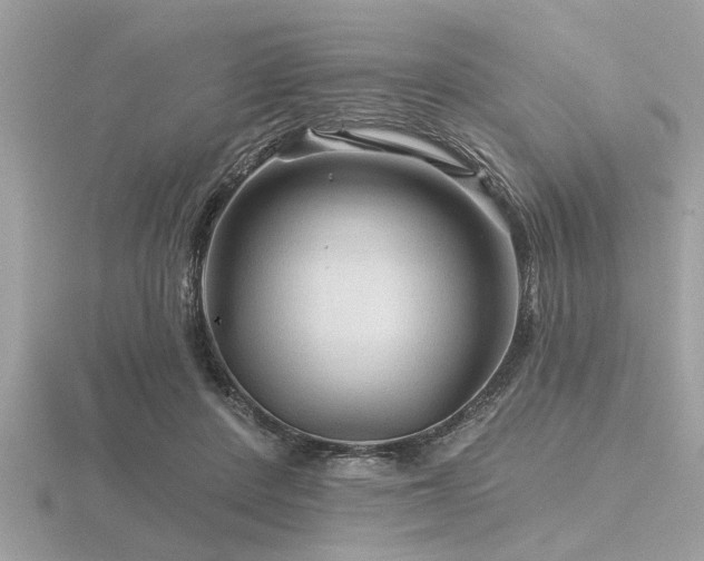 X0000116590408200912101543