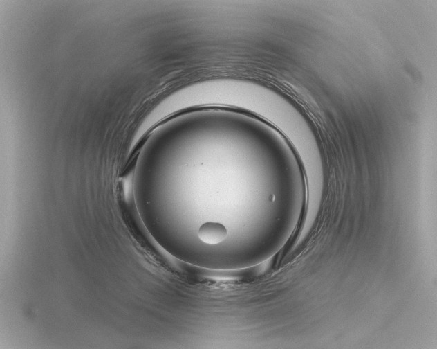 X0000116590409200912101543