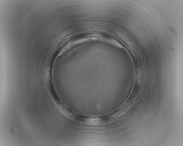 X0000116590410200912101543