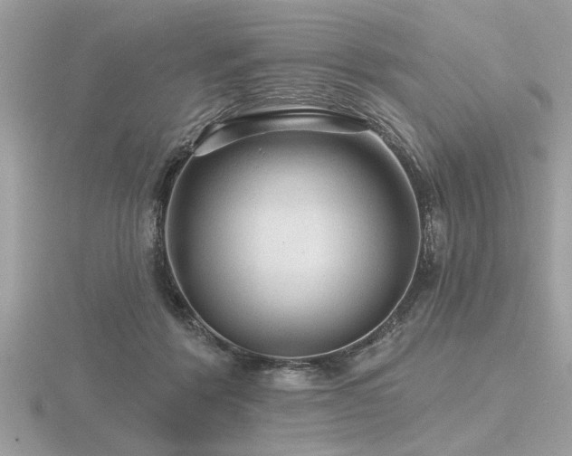 X0000116590412200912101543