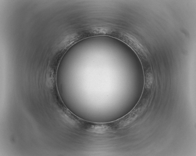 X0000116590414200912101543