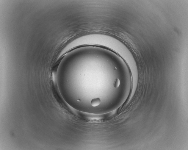 X0000116590415200912101543