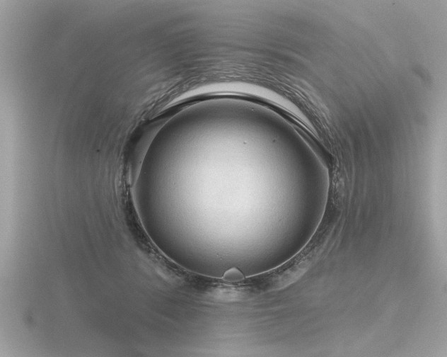 X0000116590416200912101543